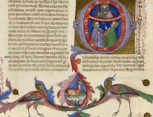 IMPRESSIONI | Dipingere la scrittura